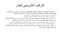 sec 5.pdf